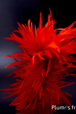 Plumet coq avec anneau -  hauteur 40 cm - orange sanguin